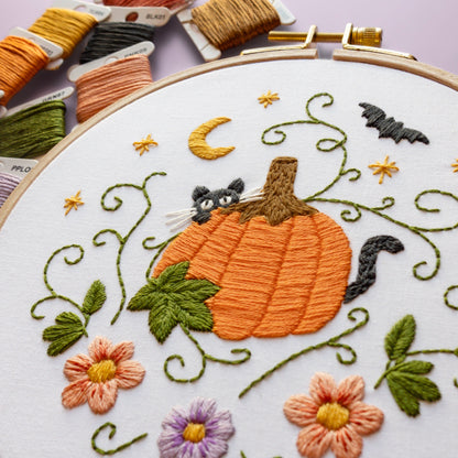 Purrfect Pumpkin Beginner Kit